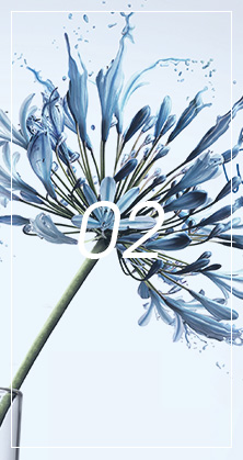 熱轉(zhuǎn)移印花